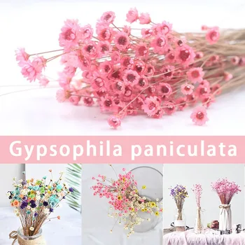 30 adet Kurutulmuş Çiçek Brezilyalı Küçük Yıldız Çiçek Gypsophila Krizantem sanat dekoru DIY xqmg yapay çiçekler Süslemeleri 2021