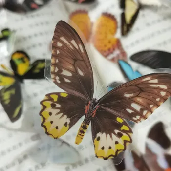 40 adet Vintage Kelebek Koleksiyonu Malzeme Sticker DIY Scrapbooking Albümü Günlük Günlüğü Karalama Defteri Planlayıcısı Dekorasyon Çıkartmaları