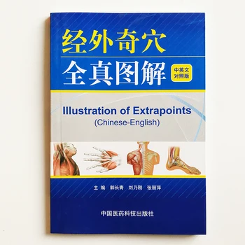 Çizim Ekstrapoints (Çince-İngilizce Versiyonu) geleneksel çin tıbbı İki Dilli Akupunktur Kitap Çin Tıbbı