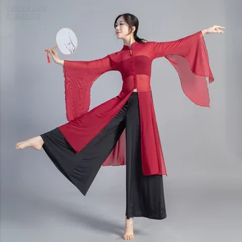 Çin Tarzı Dans Elbise Geleneksel Geniş Kollu Klasik Elbise Hanfu Bluz Pantolon Liuxian Gazlı Bez Dans Klasik Elbise