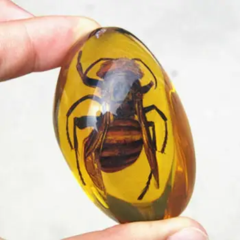 Doğal Kaba Wasp Amber Taş Böcek Spcimen Kolye Kolye Taş Masa Dekorasyon DIY Takı Zanaat Kolye