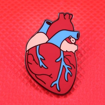 Anatomik kalp pin insan organları broş garip Goth hediye doktor hemşire sağlık pimleri vücut parçaları rozeti tıbbi takı