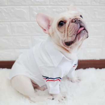 Pomeranian Giysileri Resmi Kore Tarzı Moda Eğlence Takım Elbise Fransız Bulldog Giysileri Pug Gömlek İş Köpek Gömlek Köpekler Kostüm